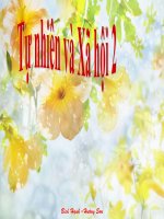 Mot so loai cay song duoi nuoc