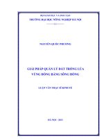 Giải pháp quản lý đất trồng lúa vùng đồng bằng sông hồng 