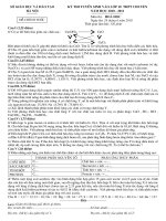 đề thi 10 hóa.Am.2011