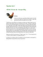 Tập làm văn Mẫu 4