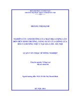 nghiên cứu ảnh hưởng của mật độ, lượng lân bón đến sinh trưởng, năng suất của giống lúa ht6 và hương việt 3 tại gia lâm  hà nội