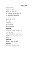 sang kien kinh nghiem hoat dong doi