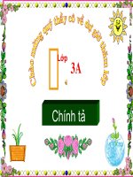 chính tả : Sự tích lễ hội Chữ Đồng Tử