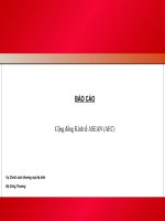 Báo cáo Cộng đồng Kinh tế ASEAN (AEC)