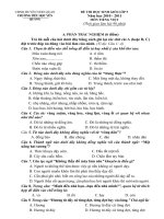 Đề Thi HSG 5 môn Tiến Việt