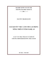 Giải quyết việc làm cho lao động nông thôn ở tỉnh nghệ an