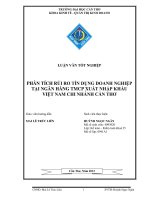 phân tích rủi ro tín dụng doanh nghiệp tại ngân hàng tmcp xuất nhập khẩu việt nam chi nhánh cần thơ