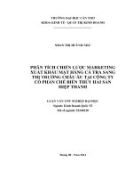 phân tích chiến lược marketing xuất khầu mặt hàng cá tra sang thị trường châu âu tại công ty cổ phần chế biến thủy hải sản hiệp thanh