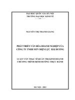 Phát triển văn hóa doanh nghiệp của công ty TNHH MTV điện lực hải dương 