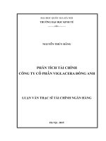 Phân tích tài chính công ty cổ phần viglacera đông anh 