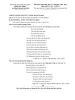 Đề kiểm tra học kì 2 môn Ngữ văn lớp 11 năm học 2013-2014 trường THPT Lương Ngọc Quyến, Thái Nguyên