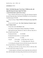 Thực trạng quản trị nguồn  nhân lực tại công ty TNHH SXXNK Tiến Thành