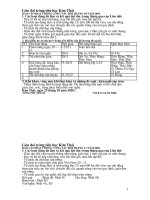 Báo cáo tháng của Liên Đội năm 2010   2011