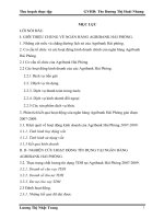 Thực trạng và một số giải pháp nâng cao chất lượng tín dụng trung dài hạn tại ngân hàng AgriBank Hải Phòng