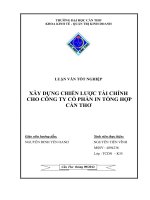 xây dựng chiến lược tài chính cho công ty cổ phần in tổng hợp cần thơ