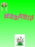 Ung dung ty le ban do