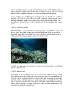 Ảnh hưởng của biến đổi khí hậu