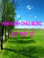 SH6: Bài :Quyết   Cây Dương xỉ