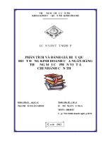 phân tích và đánh giá hiệu quả hoạt động kinh doanh của ngân hàng thương mại cổ phần việt á chi nhánh cần thơ