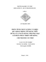 phân tích chất lượng và hiệu quả hoạt động tín dụng tiêu dùng của ngân hàng thương mại cổ phần phát triển mê kông chi nhánh cần thơ