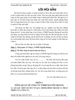 phân tích hoạt động kinh tế  và tình hình thực tế tại công ty TNHH nguyễn hoàng 