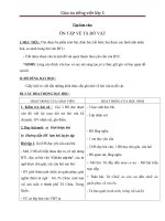 Giáo án tiếng việt 5 tuần 24 bài ôn tập tả đồ vật7 