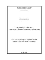 Tạo động lực làm việc cho giảng viên trường đại học hải dương
