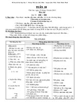 TUAN 10 tuan au   au