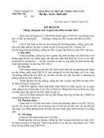 Kế hoạch phòng chống bão lụt, Quyết định