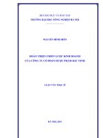 Hoàn thiện chiến lược kinh doanh của công ty cổ phần dược phẩm bắc ninh 