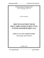Một số giải pháp nhằm phát triển kinh tế bền vững ở tỉnh ninh bình hiện nay 