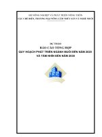 tổng quan ngành muối thế giới