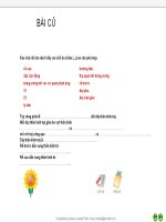 Tiết 48:Trụ não ,não trung gian ,tiểu não(có violet)