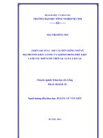 Chọn lọc full sib cải tiến giống ngô tẻ địa phương khẩu lương và slidim trong điều kiện canh tác nhờ nước trời tại sa pa lào cai 