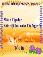 TAP ĐOC 3.Hội đua voi ở Tây Nguyên