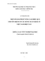 Một số giải pháp nâng cao hiệu quả chuyển dịch cơ cấu hàng xuất khẩu ở việt nam hiện nay 