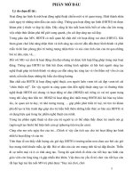 De tai ( SKKN ) mau giao