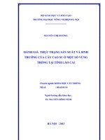 Đánh giá thực trạng sản xuất và sinh trưởng của cây cao su tại một số vùng trồng của tỉnh lào cai 