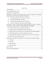 Tình hình hoạt động kinh doanh của công ty cổ phần chứng khoán thành phố hồ chí minh 