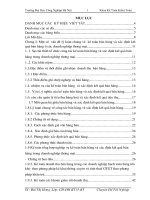 Hoàn thiện kế toán bán hàng và xác định kết quả bán hàng tại  Công ty cổ phần sản xuất và đầu tư TLC Việt Nam