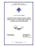 đánh giá mức độ hài lõng trong công việc của nhân viên công ty cổ phần dầu khí mê kông