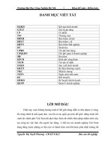 hoàn thiện công tác kế toán bán hàng và xác định kết quả bán hàng trong doanh nghiệp thương mại tại công ty cổ phần thương mại và dịch vụ Galaxy Thai Land