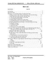 Tổ chức kế toán bán hàng và xác định kết quả bán hàng tại nhà máy chế biến nông sản thực phẩm xuất khẩu việt nam 