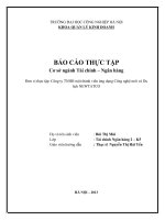 cơ sở ngành tài chính   ngân hàng ưcông ty TNHH một thành viên ứng dụng công nghệ mới và du lịch NEWTATCO 