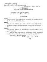 Quyết định kết nạp đội viên và công nhận chi đội