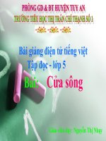 Bài giảng tiếng việt 5 tuần 25 bài cửa sông5 