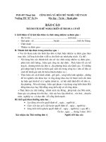 Báo cáo thành tích CSTĐCS mẫu