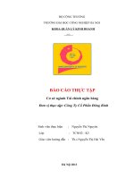 báo cáo thực tập cơ sở nghành tài chính ngân hàng Công Ty Cổ Phần Đông Bình