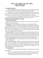 Bao cao tong ket to Tu Nhen