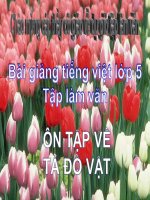 Bài giảng tiếng việt 5 tuần 24 bài ôn tập tả đồ vật 